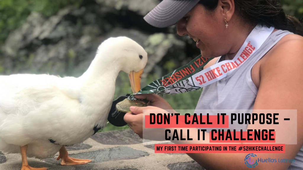 Don't call it Purpose – Call it Challenge