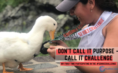 Don’t call it Purpose – Call it Challenge