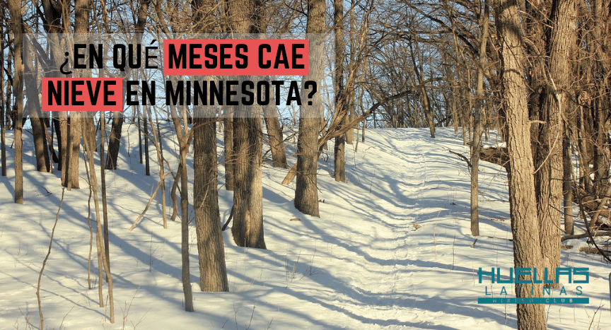 ¿En qué meses cae nieve en Minnesota?
