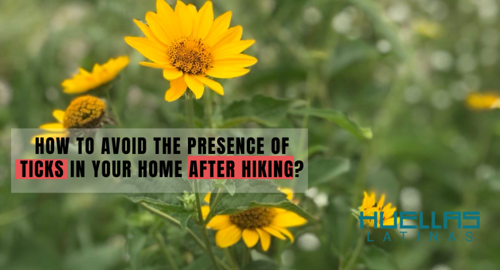 How to avoid the presence of ticks in your home after hiking?