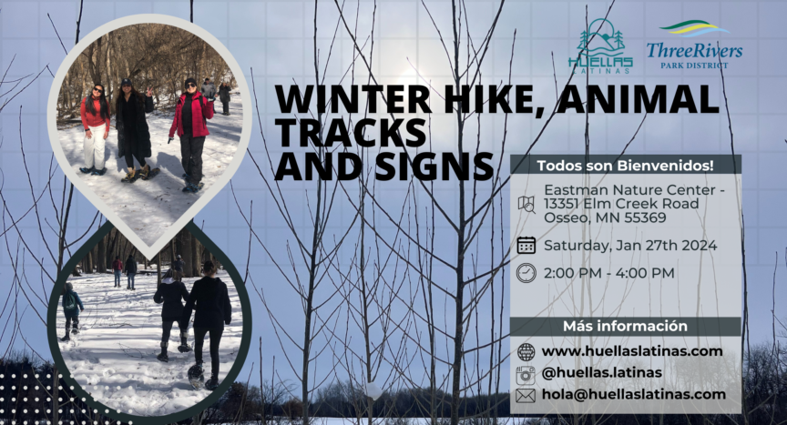 winter hike, animal tracks and signS