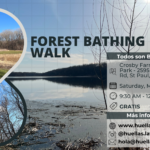 Forest Bathing Walk - Caminata de Terapia de Bosque en Español