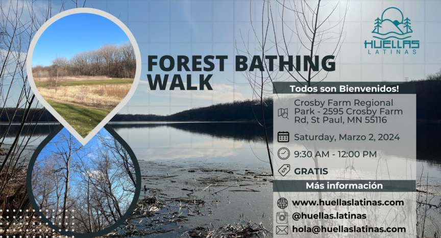 Forest Bathing Walk