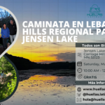 Caminata en Lebanon Hills Regional Park - Jensen Lake