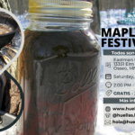 Vamos al Maple Syrup Festival