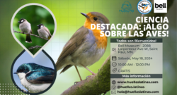Ciencia destacada: ¡Algo sobre las aves!