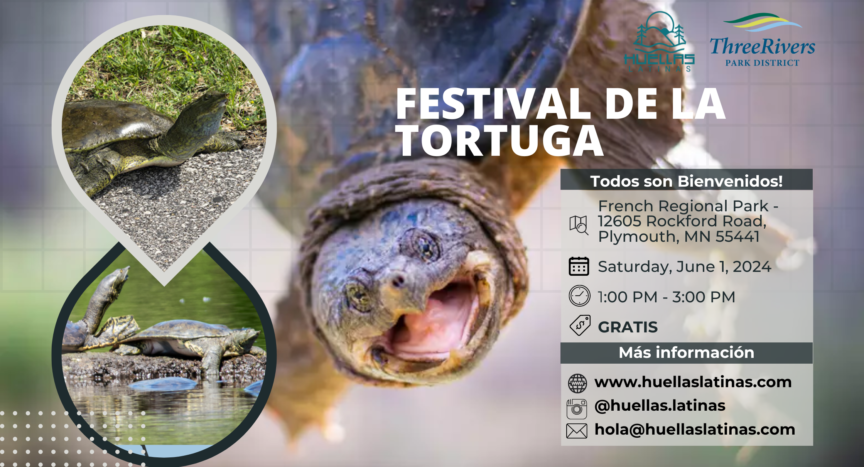 Festival de la tortuga