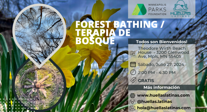 Forest Bathing / Terapia de Bosque