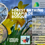 Forest Bathing Walk – Caminata de Terapia de Bosque en Español