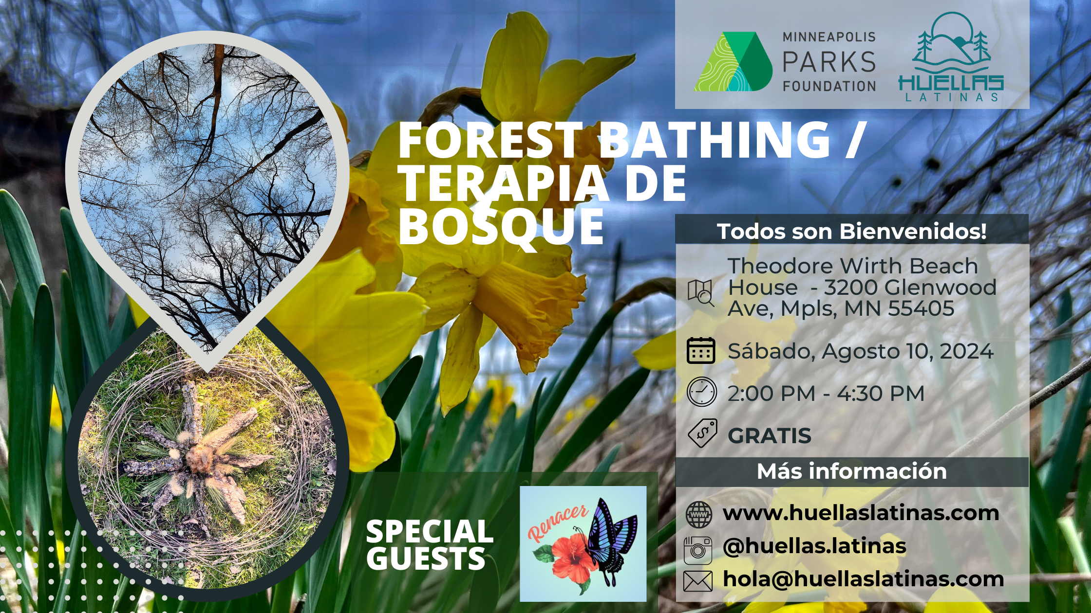 Forest Bathing Walk – Caminata de Terapia de Bosque en Español