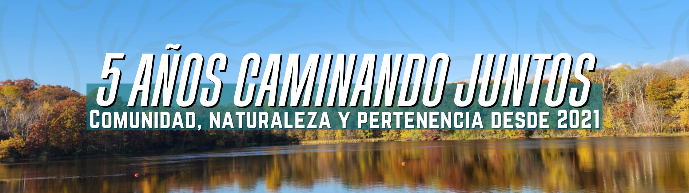 Banner de Aniversario