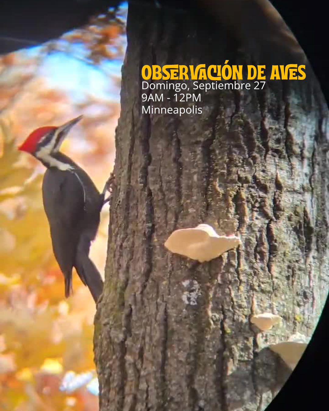 Actividad 7